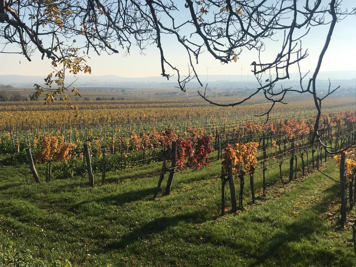 Weingut & Gastezimmer Edelmann Goettlesbrunn Bagian luar foto