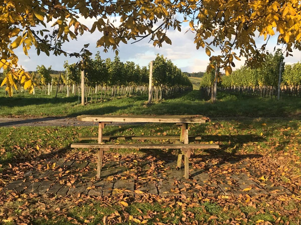 Weingut & Gastezimmer Edelmann Goettlesbrunn Bagian luar foto